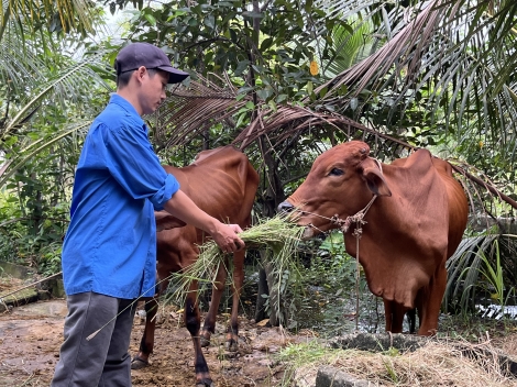 Thanh niên sản xuất kinh doanh giỏi