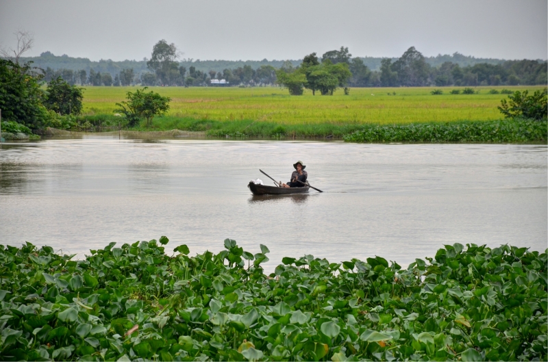 Chớm đông