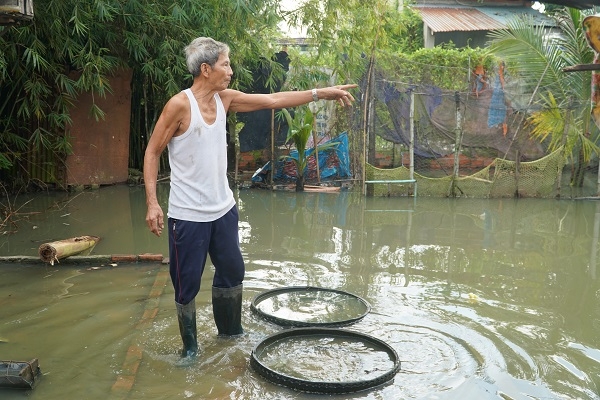 Khổ vì ngập !