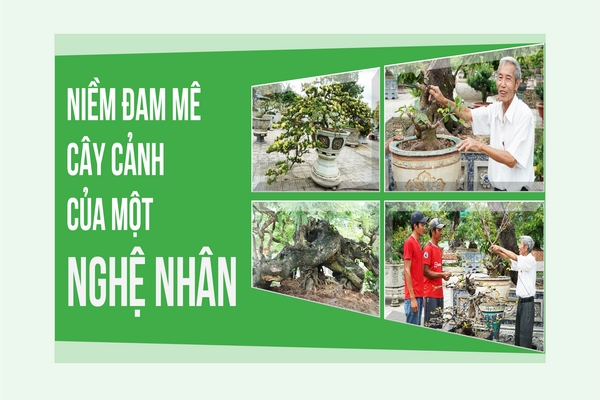 Niềm đam mê cây cảnh của một nghệ nhân