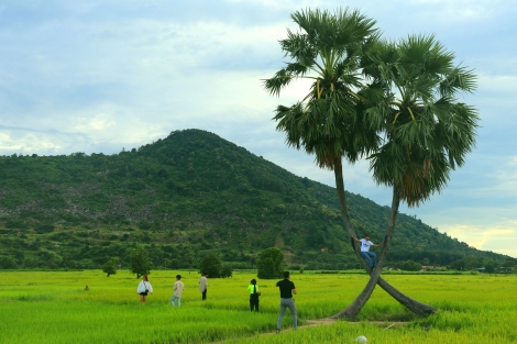 Cây thốt nốt trong đời sống của người Khmer Tây Ninh