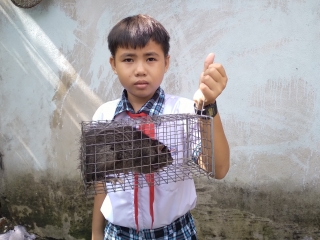 Tiếp sức đến trường: Bắt chuột đồng kiếm tiền đi học
