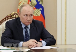 Tổng thống Nga Vladimir Putin không dự Hội nghị cấp cao APEC 2022