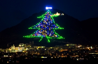 Cây thông Noel lớn nhất thế giới sắp được thắp sáng