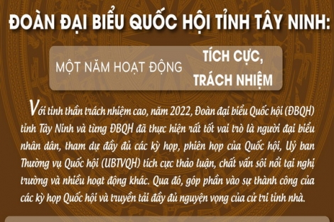 Một năm hoạt động tích cực, trách nhiệm