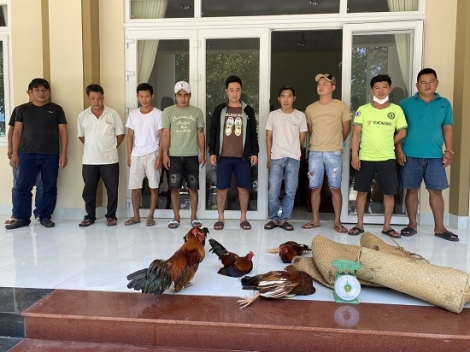 Công an huyện Tân Biên: Bắt tụ điểm đá gà ăn thua bằng tiền