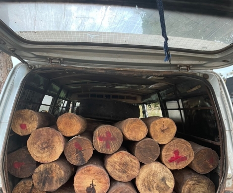 Công an Tây Ninh: Bắt xe ô tô vận chuyển gỗ