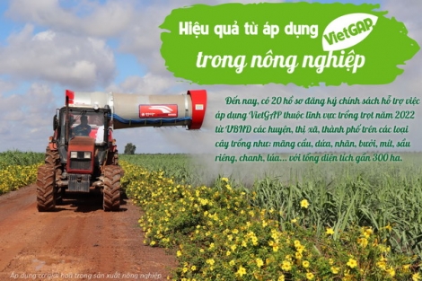 Hiệu quả từ áp dụng VietGAP trong nông nghiệp