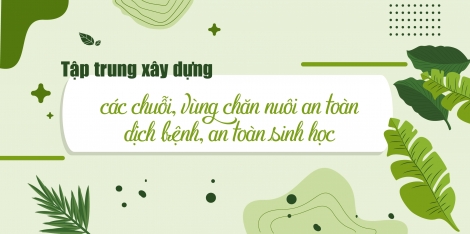 Tập trung xây dựng các chuỗi, vùng chăn nuôi an toàn dịch bệnh, an toàn sinh học