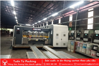 Cơ sở sản xuất và in thùng carton giá rẻ tại TP.HCM - Tuấn Tú Packing