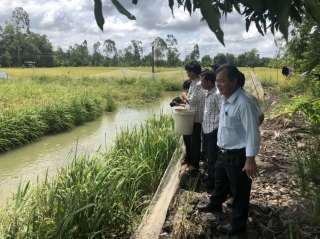 Xã Phước Chỉ, thị xã Trảng Bàng: Phát huy vai trò dẫn dắt nông dân của Hợp tác xã