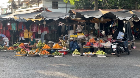 Cần nâng cao trách nhiệm chính quyền địa phương