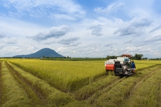 Ngành Nông nghiệp đóng góp gần 21% vào cơ cấu GRDP của tỉnh