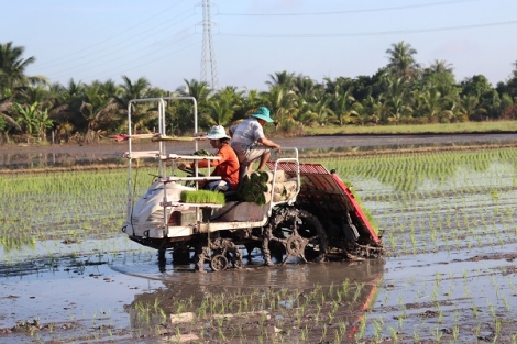 Bàu Đồn - Xuân đến sớm