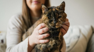 Cô mèo đạt kỷ lục Guiness về cao tuổi nhất thế giới