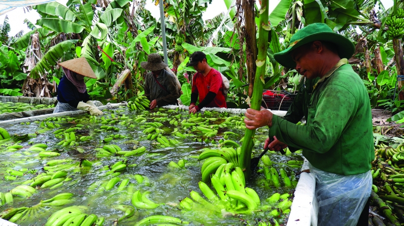 Vững vàng một dải biên cương