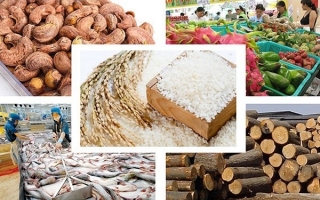 Đẩy mạnh xuất khẩu chính ngạch nông, hải sản và yến sào Việt Nam sang Trung Quốc