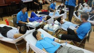 Gò Dầu: Tiếp nhận 274 đơn vị máu