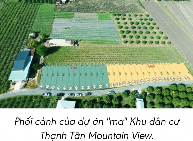 Không có dự án nhà ở, khu dân cư nào có tên “Thạnh Tân Mountain View”