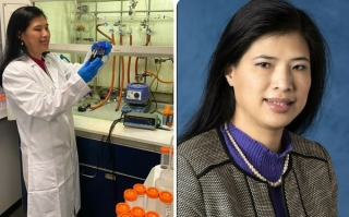 Giáo sư người Việt được Liên minh quốc tế về hóa học vinh danh