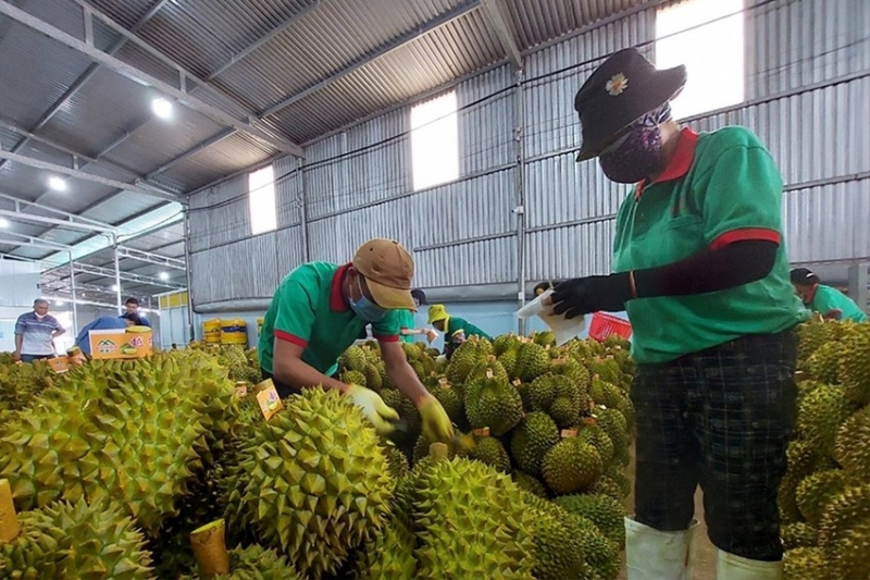 Hàng Việt bán sang Trung Quốc: Mừng và thách thức mới