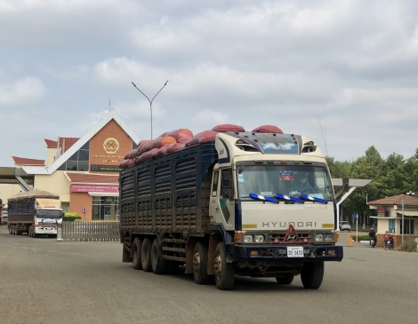 Nhộn nhịp xuất, nhập khẩu đầu năm