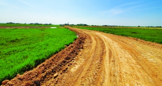 Đất trồng lúa thành “công trường”