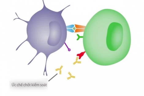 Vaccine điều trị ung thư hoạt động như thế nào?