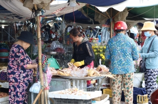 Tây Ninh: Chủ động phòng, chống bệnh cúm gia cầm H5N1