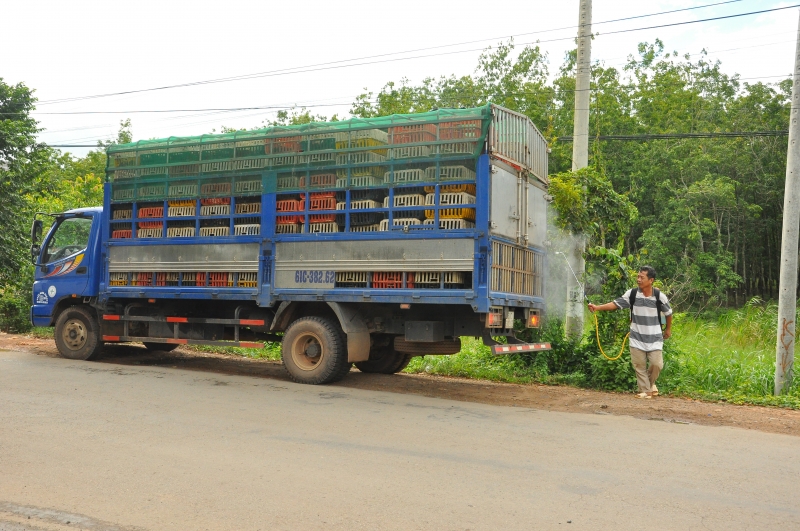 Tiêu huỷ ngay các lô hàng động vật, sản phẩm động vật vận chuyển trái phép