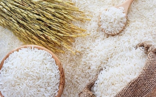 Thái Lan tính xuất 8 triệu tấn gạo khi Việt Nam và Ấn Độ quay về 'sân nhà'