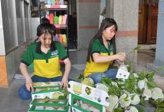 Trung tâm Khuyến nông Tây Ninh: Hội thảo chuyên đề kỹ thuật trồng thâm canh cây mãng cầu theo hướng hữu cơ