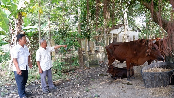 Bài 2: Vùng biên chuyển mình