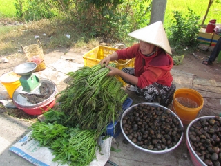 Phước Trạch: Nông dân chuyển đổi cây trồng, vật nuôi hiệu quả cao