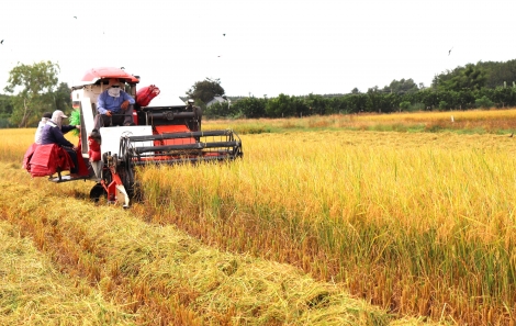 Bài cuối: Phấn đấu đến năm 2025, thực hiện đạt và vượt mục tiêu Nghị quyết Đại hội Đảng bộ tỉnh nhiệm kỳ 2020-2025