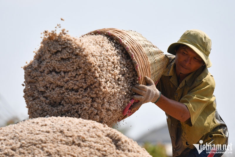 Dân số 100 triệu và nguy cơ 'chưa giàu đã già'