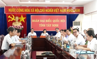 Viện trưởng Viện Kiểm sát nhân dân tối cao Lê Minh Trí trả lời chất vấn