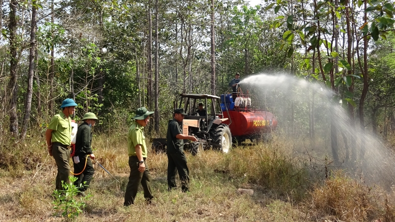 Nguy cơ cháy rừng tăng cao