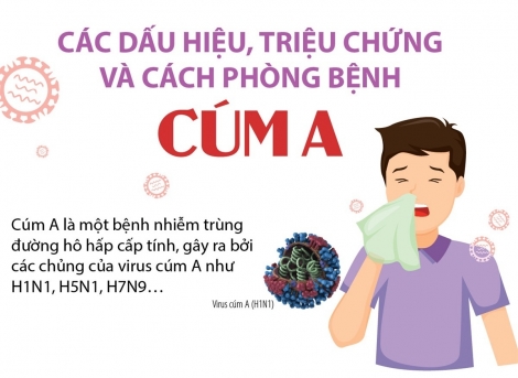 Các dấu hiệu, triệu chứng và cách phòng bệnh cúm A