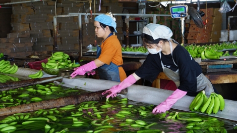 3 tháng đầu năm: Kim ngạch xuất, nhập khẩu sụt giảm