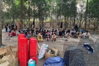 Công an huyện Tân Châu: Triệt phá trường gà xuyên tỉnh