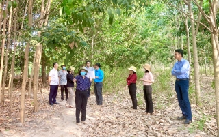 HĐND huyện Dương Minh Châu: Khảo sát tình hình quản lý, bảo vệ và chăm sóc rừng trên địa bàn huyện