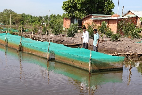 Nâng cao chất lượng, hiệu quả hoạt động kinh tế tập thể