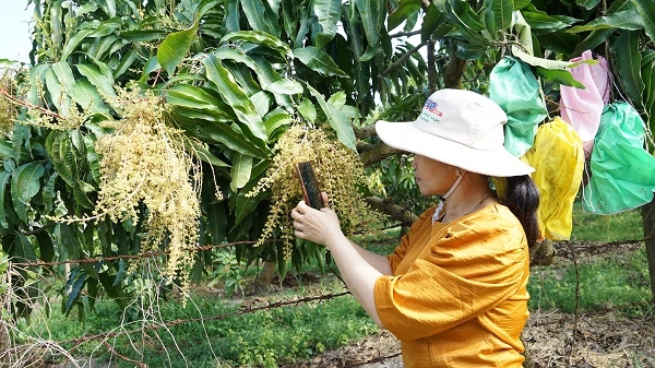 Quyết tâm phát triển chuyển đổi số trong nông nghiệp