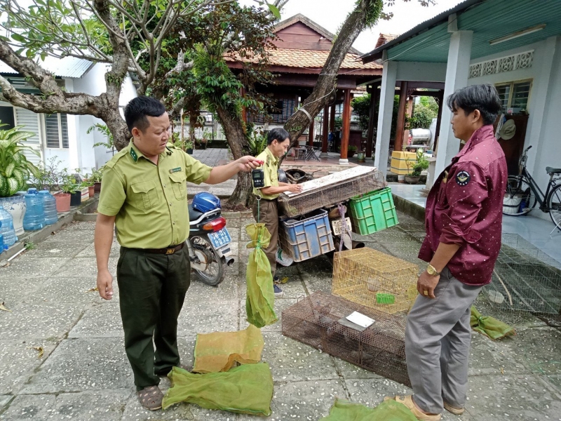 Tiếp nhận, thả nhiều cá thể động vật hoang dã về rừng