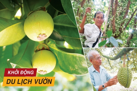 Khởi động du lịch vườn