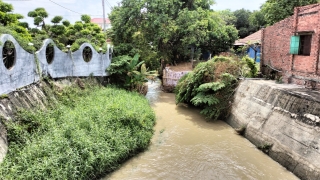 TP. Tây Ninh: Cần xử lý nghiêm việc lấn chiếm suối vườn điều