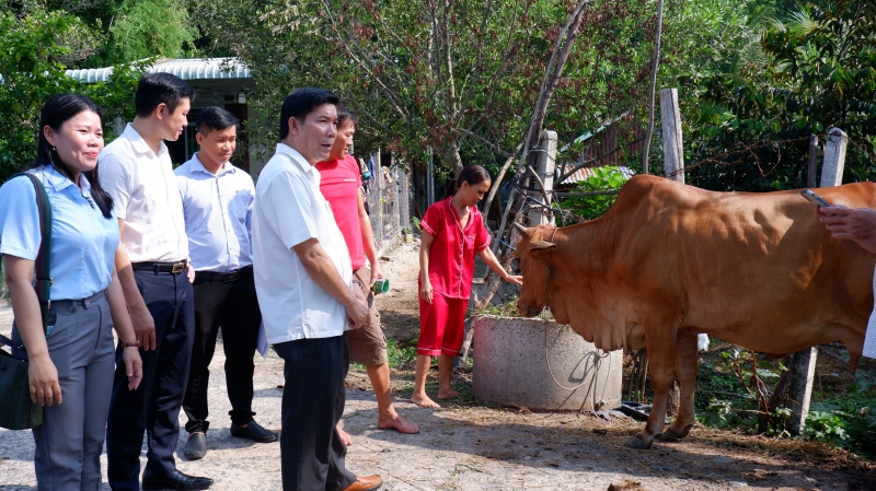 Vốn tín dụng chính sách được sử dụng đúng mục đích, hiệu quả