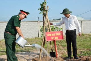 UBND tỉnh: Phát động “Tết trồng cây đời đời nhớ ơn Bác Hồ”