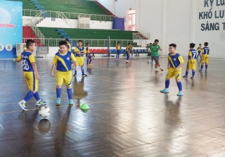Tây Ninh tổ chức vòng loại Giải bóng đá nhi đồng toàn quốc Cúp Nestle Milo 2023, khu vực III